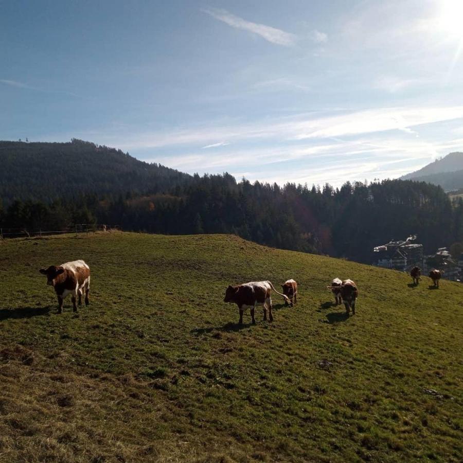 S'Heimatgfuehl Villa Schwarzenberg  Buitenkant foto