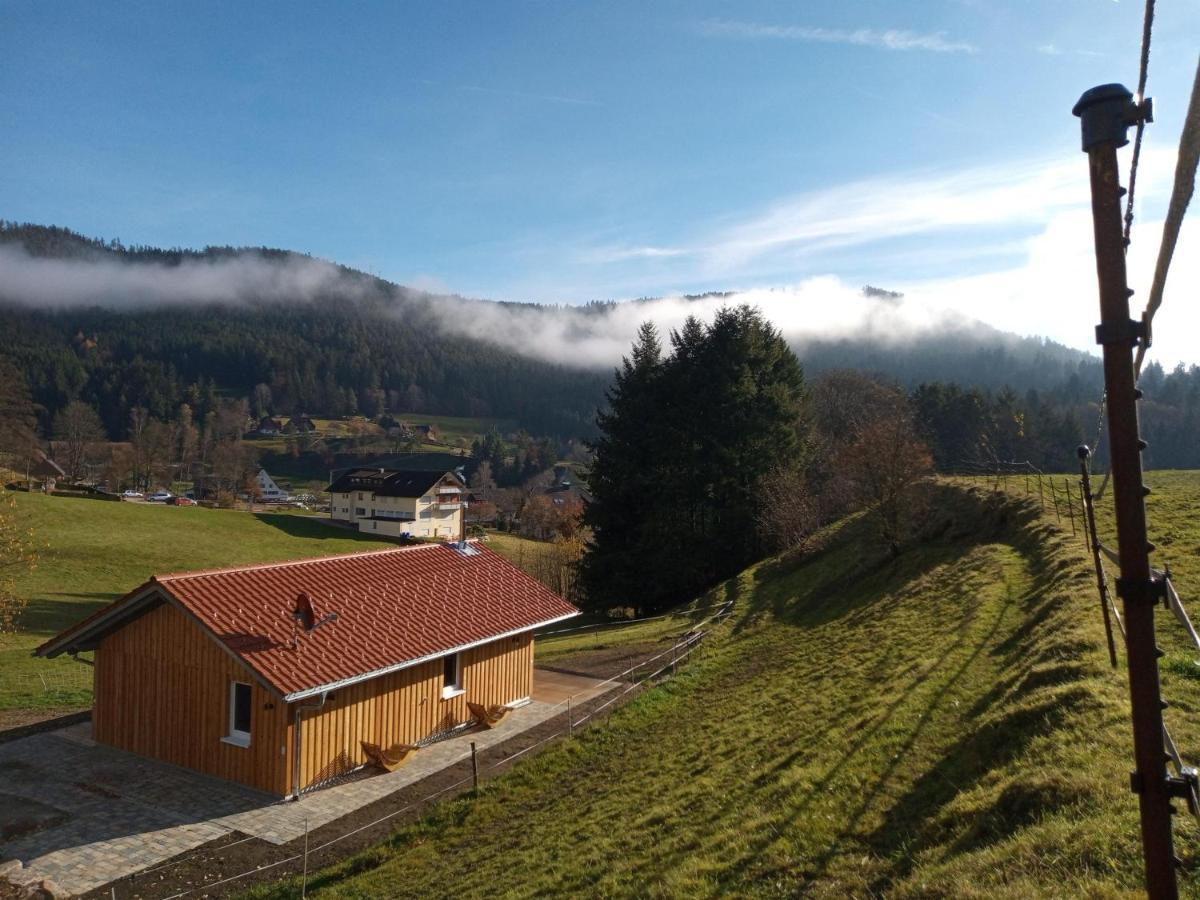 S'Heimatgfuehl Villa Schwarzenberg  Buitenkant foto